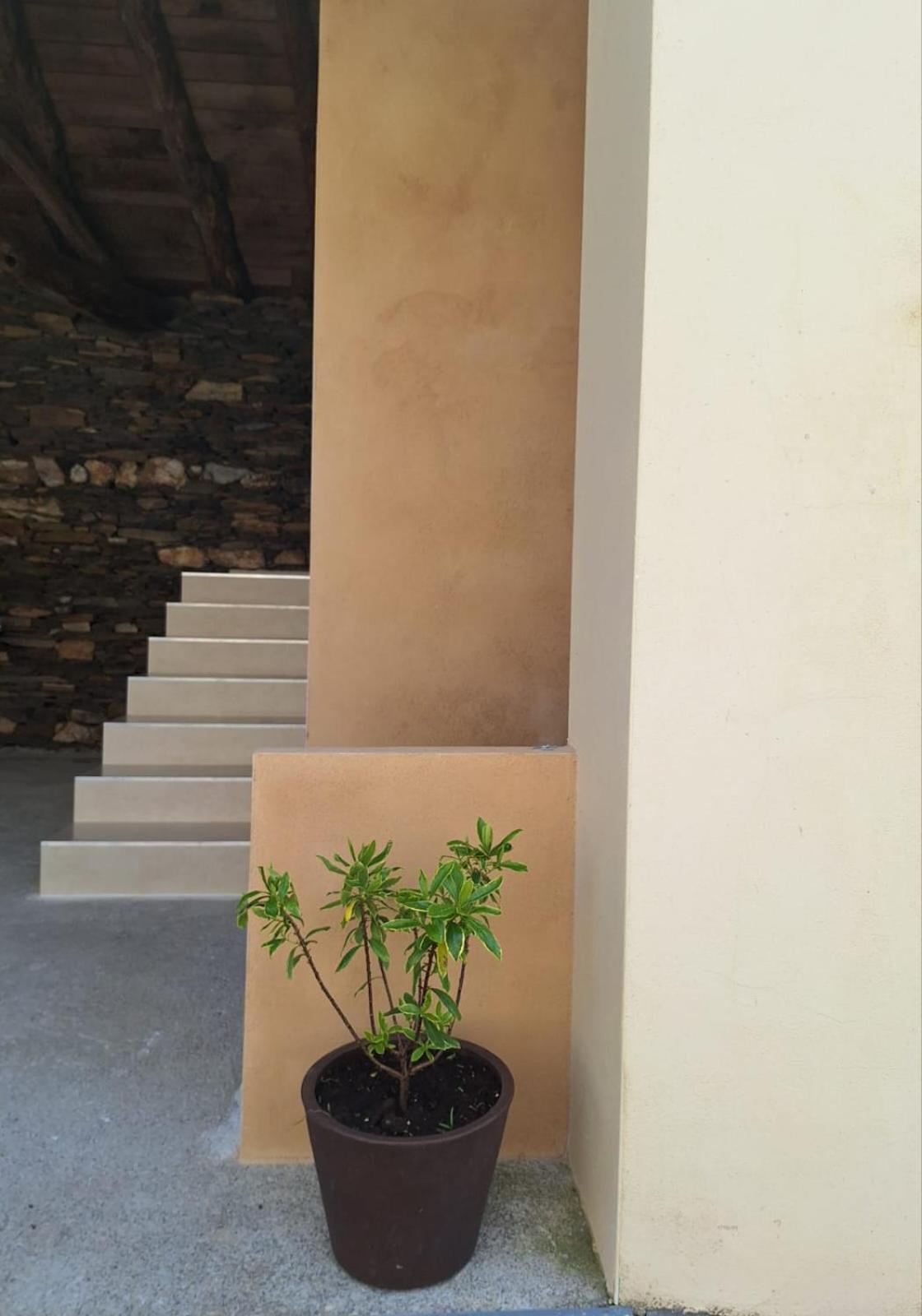 Casa Perdigueira Hotell Castromayor Eksteriør bilde